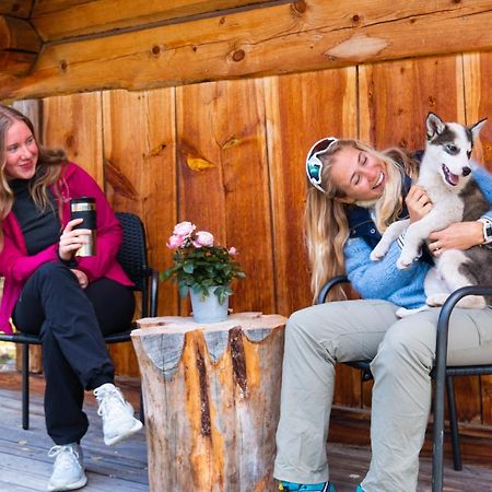 Jotunheimen Husky Lodge Randsverk 外观 照片