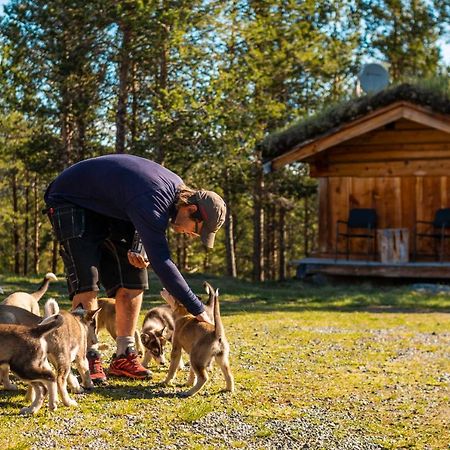 Jotunheimen Husky Lodge Randsverk 外观 照片