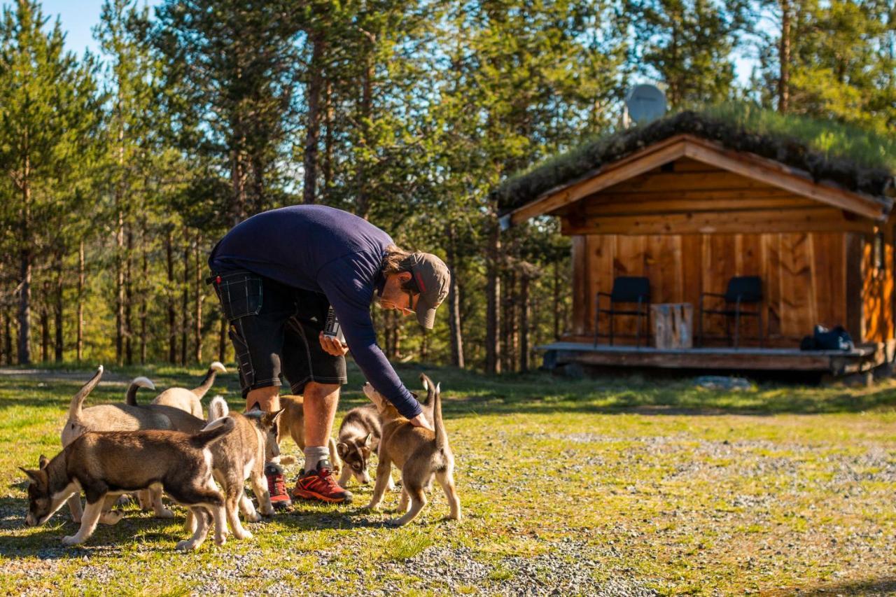 Jotunheimen Husky Lodge Randsverk 外观 照片