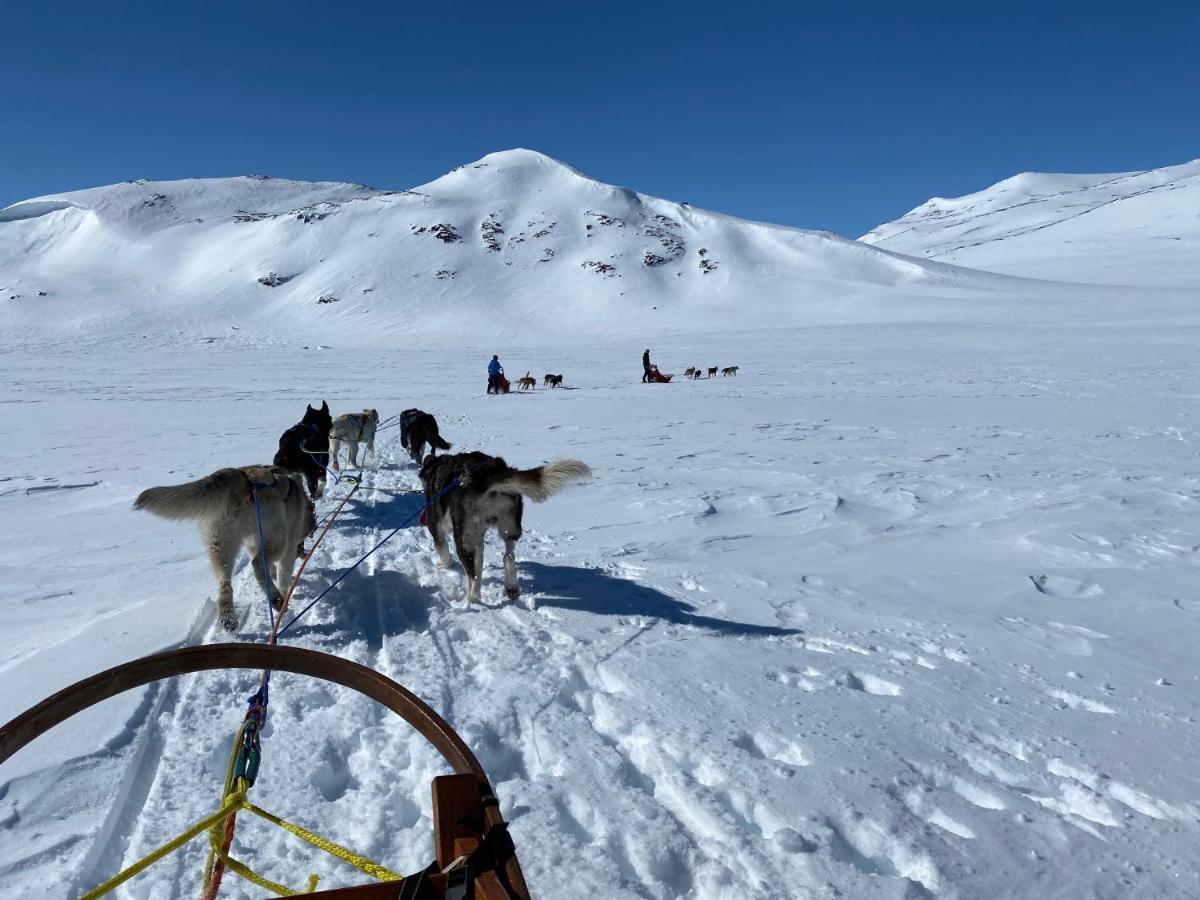 Jotunheimen Husky Lodge Randsverk 外观 照片